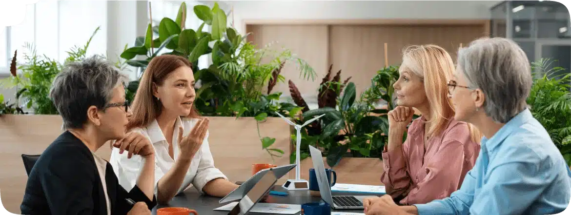 web development wordpress saas solutions